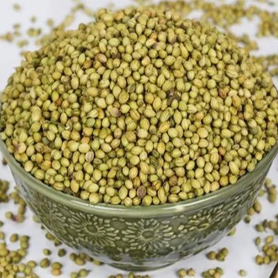 Coriander