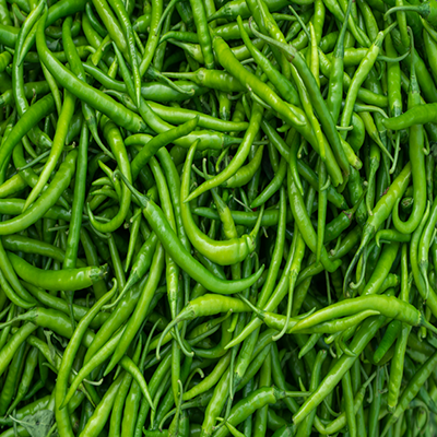SAQJA EXPORT IMPORT
